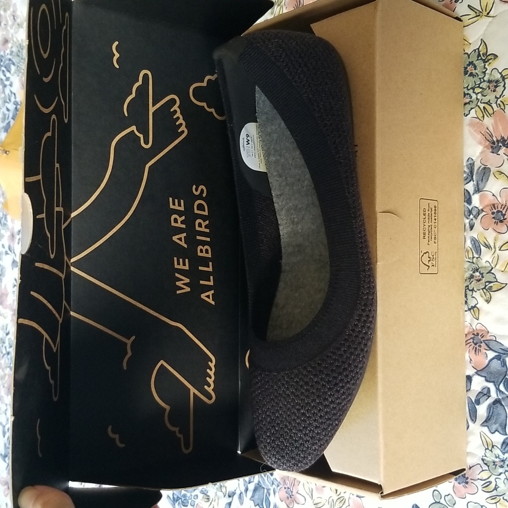 Allbirds Womens Tree Breezers 9W
